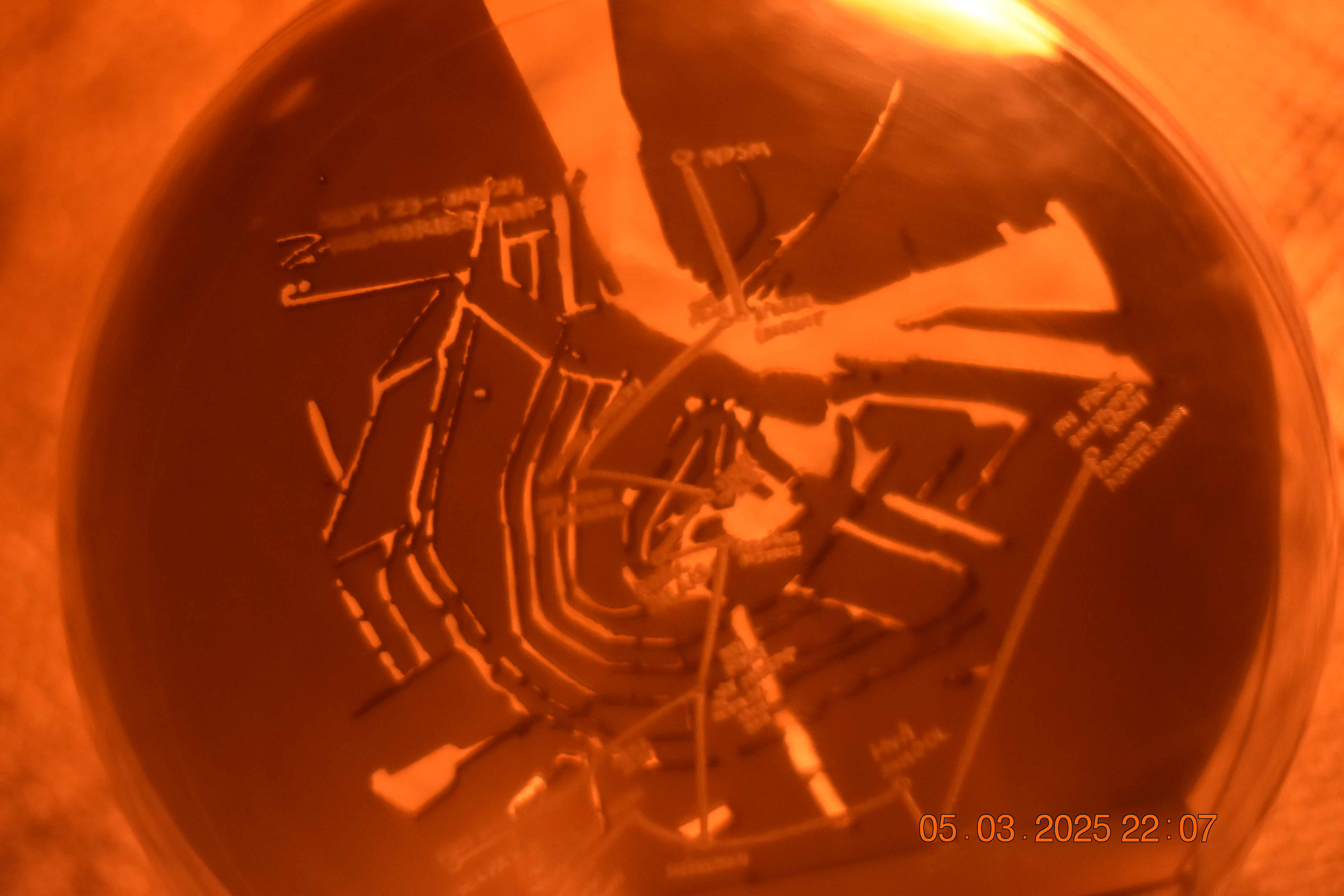 Memory Ball prototype with amber glow