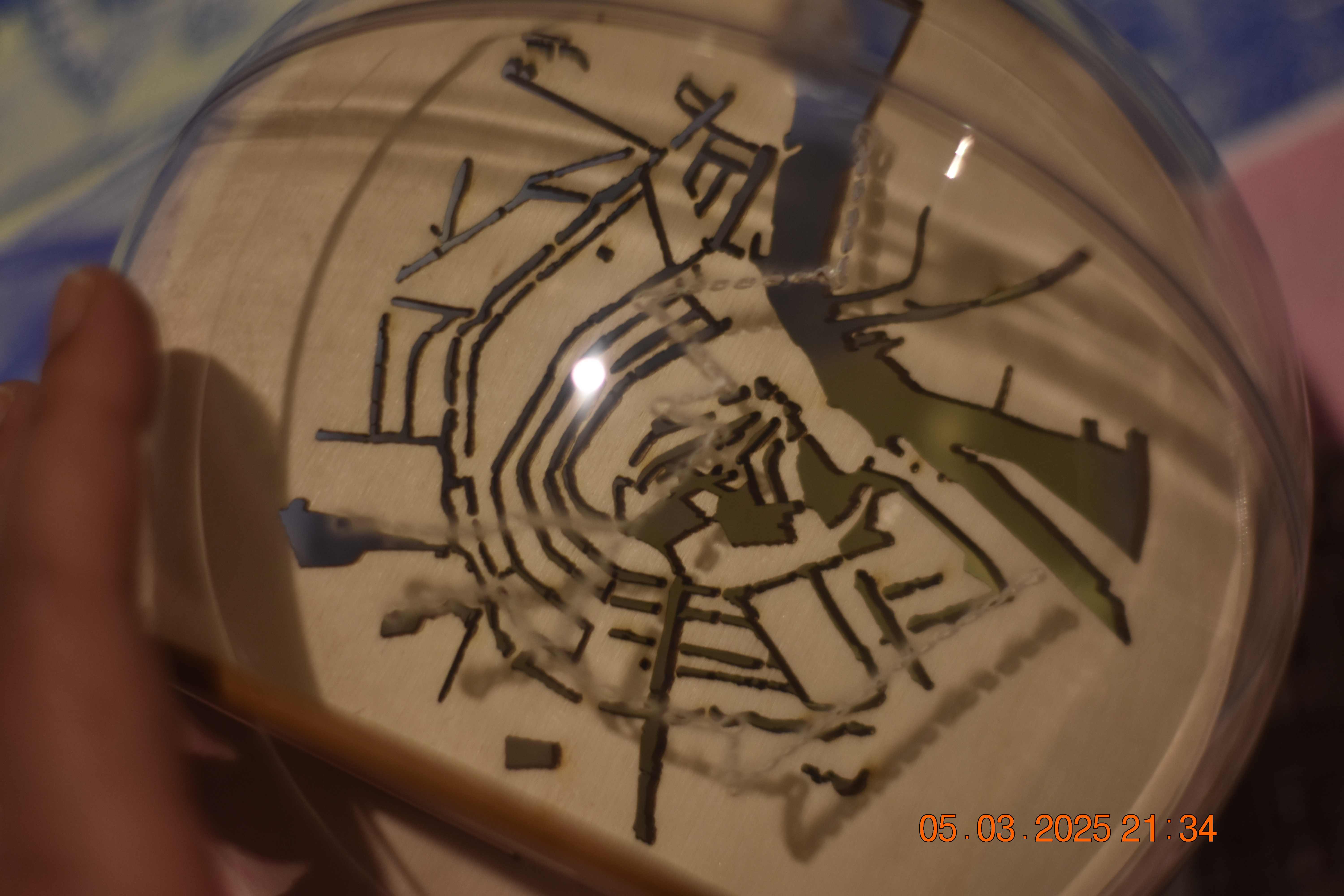 Clear Memory Ball prototype