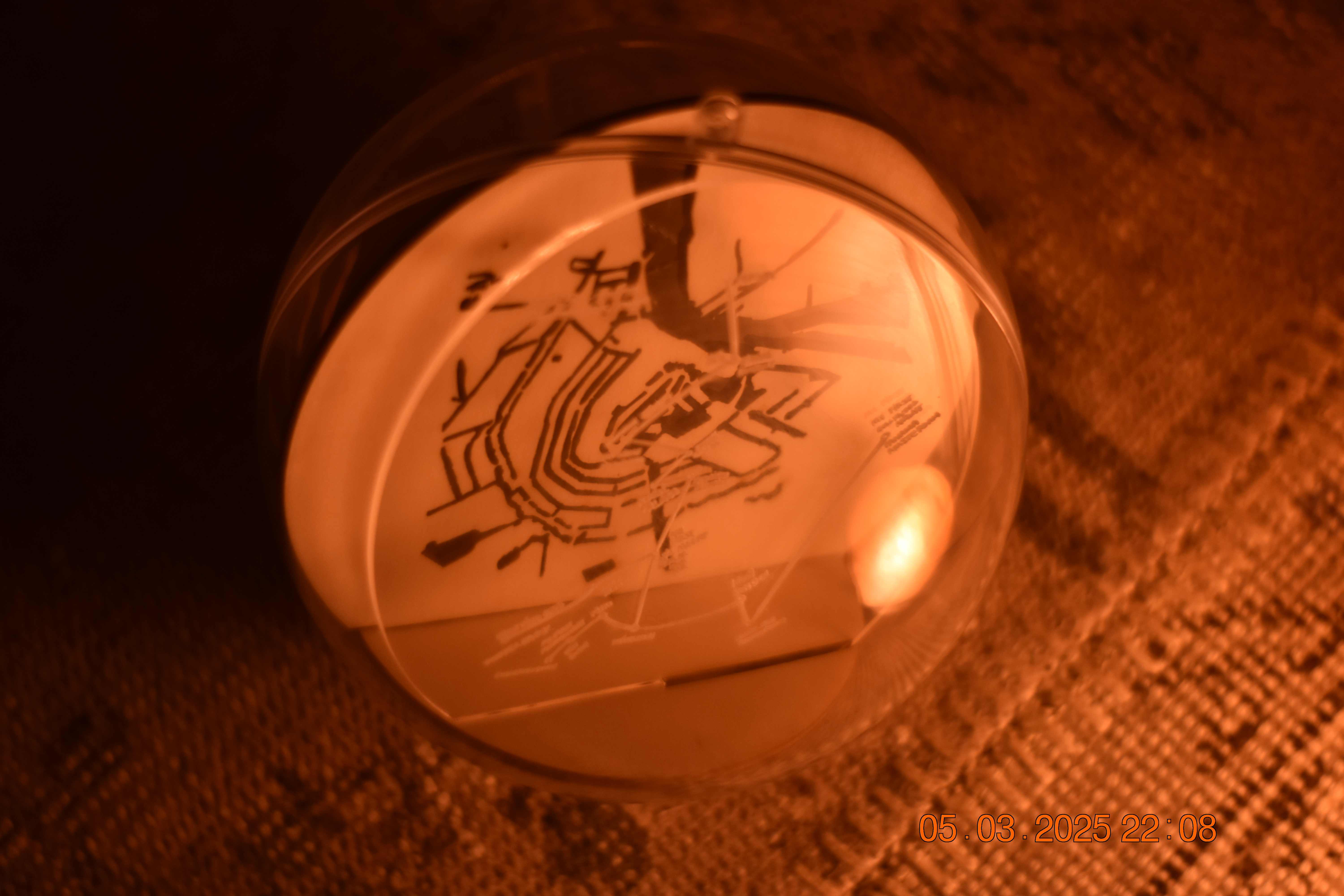 Memory Ball with orange ambient lighting